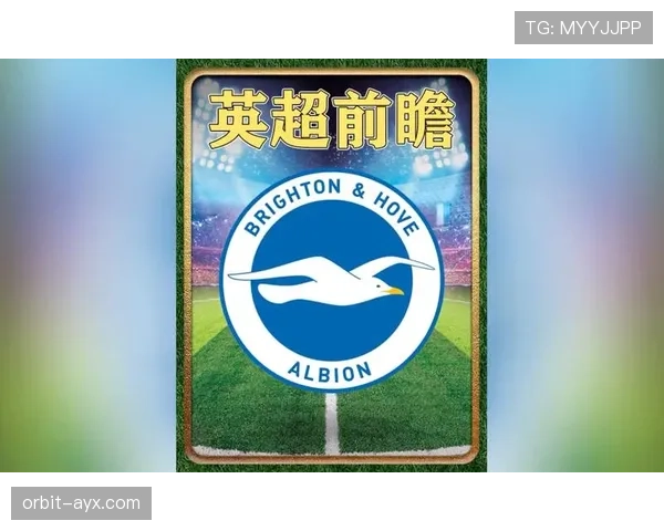 英超布莱顿海鸥 英超布莱顿海鸥